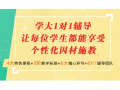海南一对一辅导