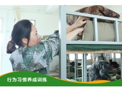 台湾行为习惯养成