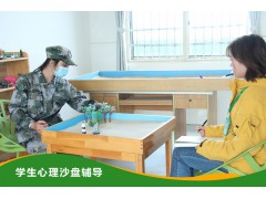 河北心理沙盘